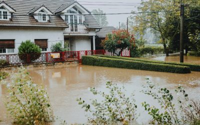 Don’t Let Summer Rain Wash Away Your Peace of Mind: The Essential Role of Flood Insurance