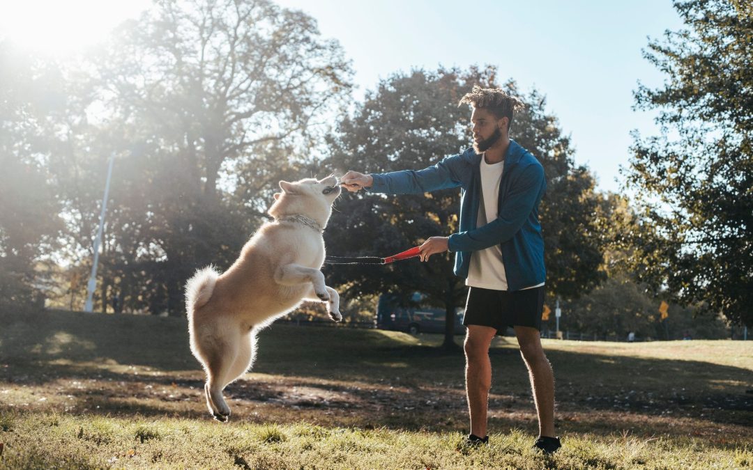 The Benefits of Providing Pet Insurance