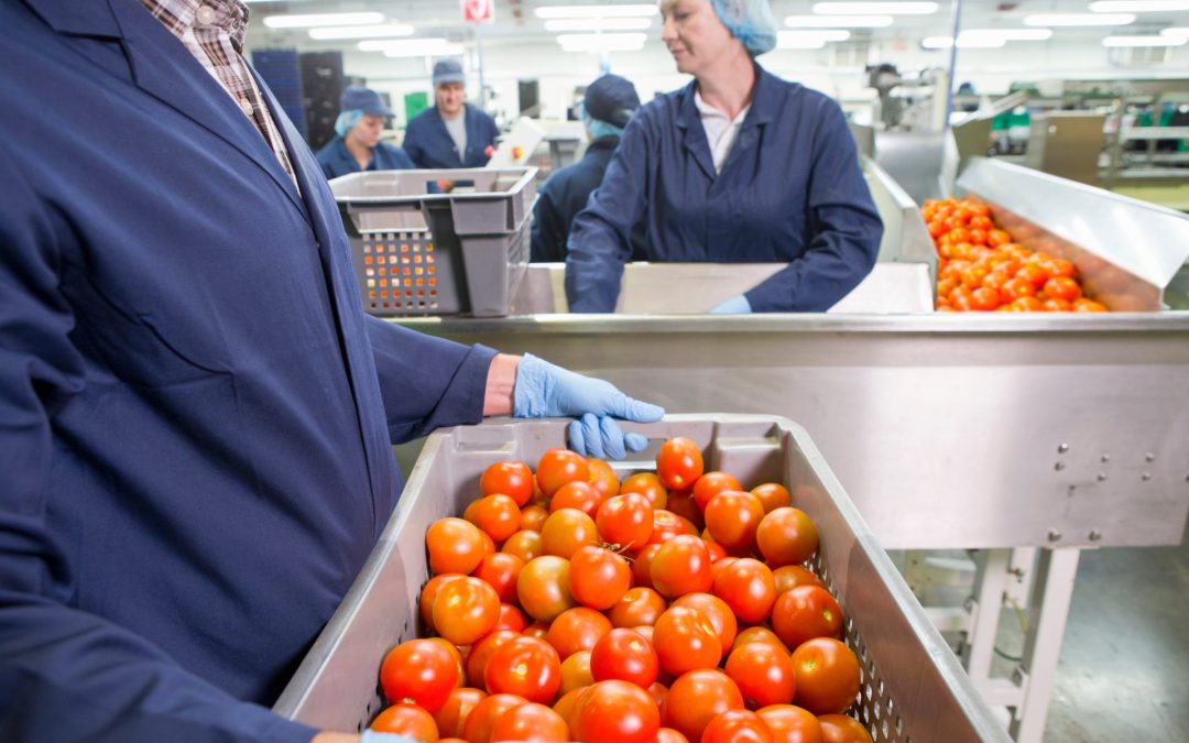 Is Your Food Business Covered? How Insurance Responds to Outbreaks and Recalls