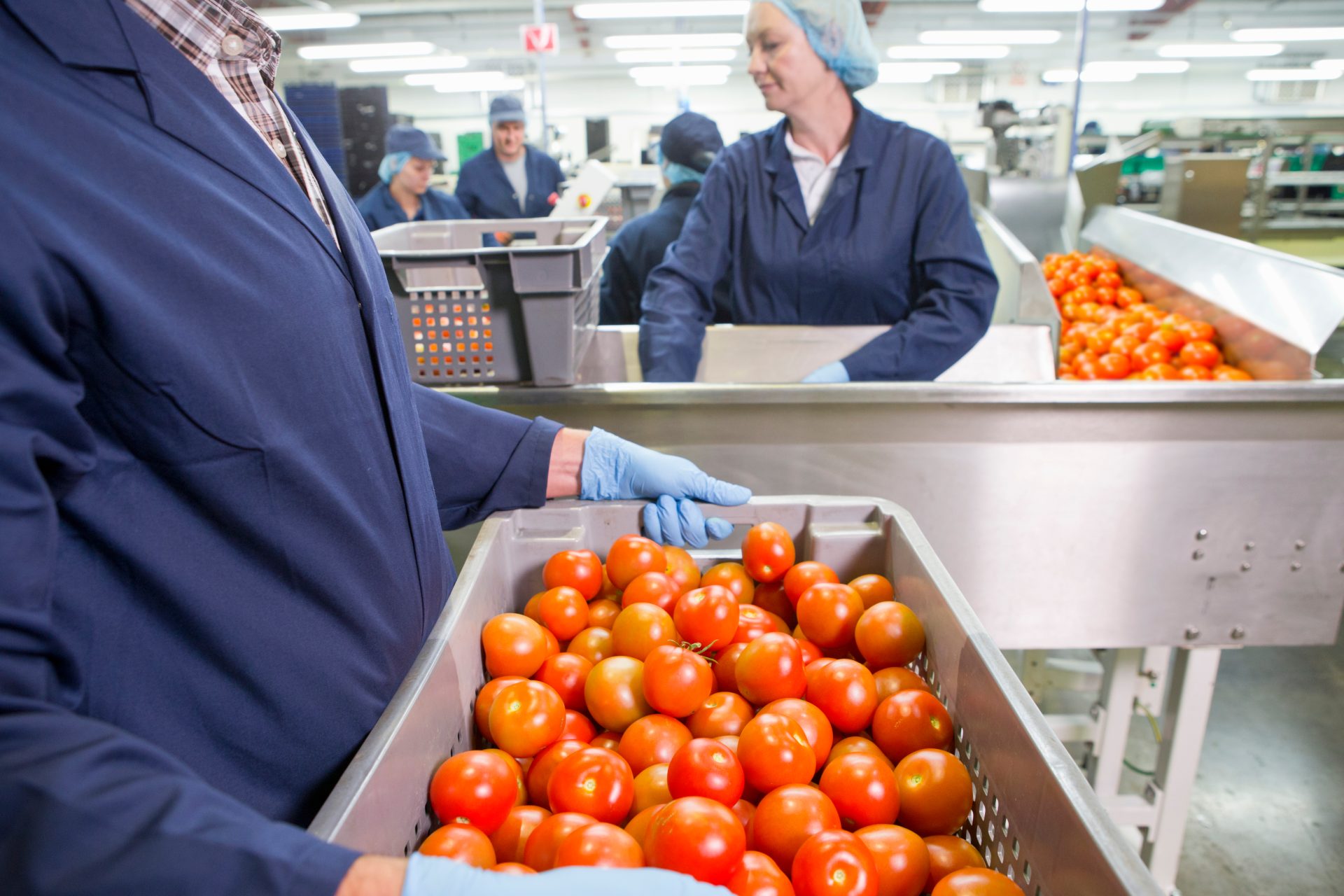 Is Your Food Business Covered? How Insurance Responds to Outbreaks and Recalls